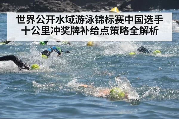 世界公开水域游泳锦标赛中国选手十公里冲奖牌补给点策略全解析